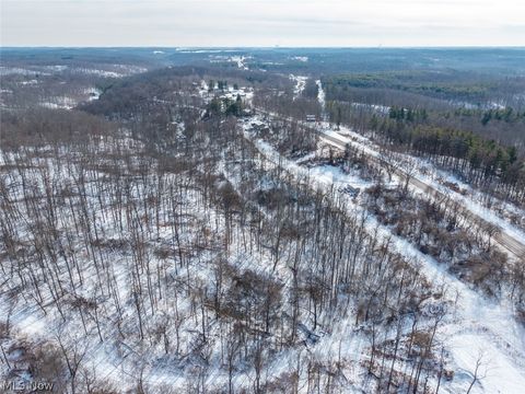 Tiny photo for 8100 Oh-78, Caldwell, OH 43724 (MLS # 5187493)