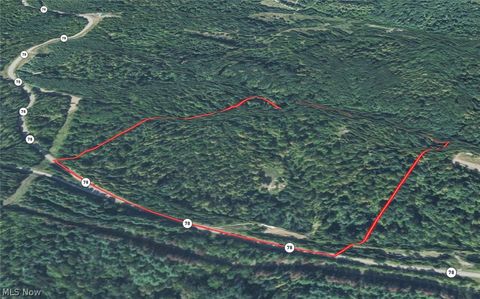 Tiny photo for 8100 Oh-78, Caldwell, OH 43724 (MLS # 5187493)