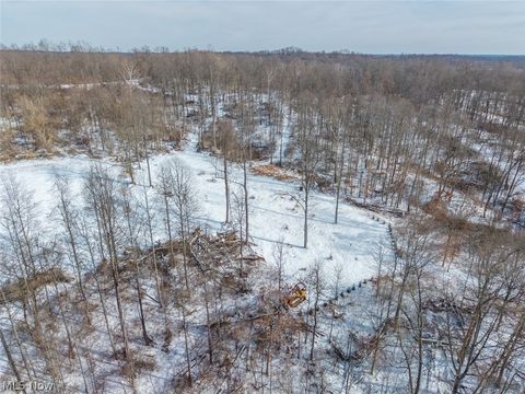 Tiny photo for 8100 Oh-78, Caldwell, OH 43724 (MLS # 5187493)