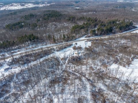 Tiny photo for 8100 Oh-78, Caldwell, OH 43724 (MLS # 5187493)