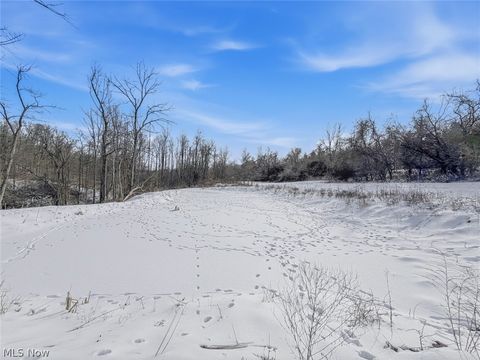 Tiny photo for 8100 Oh-78, Caldwell, OH 43724 (MLS # 5187493)