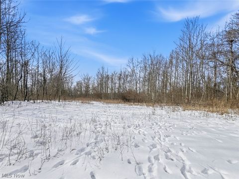 Tiny photo for 8100 Oh-78, Caldwell, OH 43724 (MLS # 5187493)