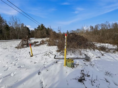 Tiny photo for 8100 Oh-78, Caldwell, OH 43724 (MLS # 5187493)