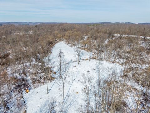 Tiny photo for 8100 Oh-78, Caldwell, OH 43724 (MLS # 5187493)