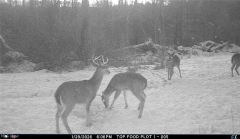 Tiny photo for 8100 Oh-78, Caldwell, OH 43724 (MLS # 5187493)