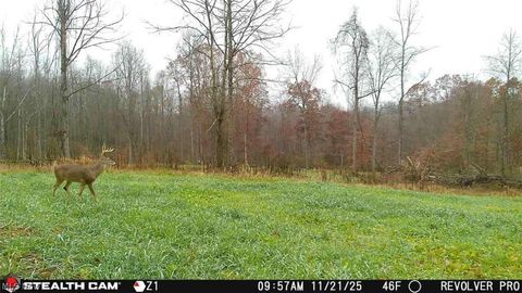 Tiny photo for 8100 Oh-78, Caldwell, OH 43724 (MLS # 5187493)