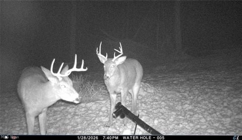 Tiny photo for 8100 Oh-78, Caldwell, OH 43724 (MLS # 5187493)