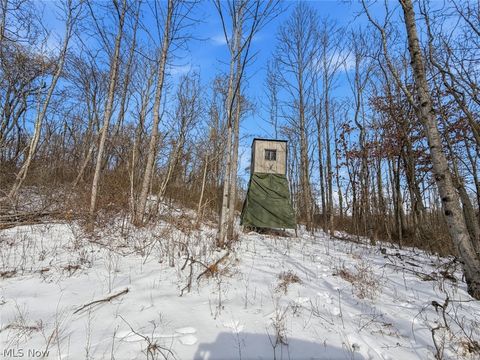 Tiny photo for 8100 Oh-78, Caldwell, OH 43724 (MLS # 5187493)