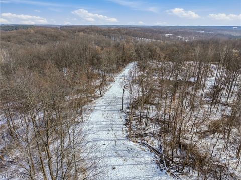 Tiny photo for 8100 Oh-78, Caldwell, OH 43724 (MLS # 5187493)