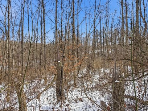 Tiny photo for 8100 Oh-78, Caldwell, OH 43724 (MLS # 5187493)