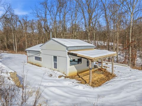 Tiny photo for 8100 Oh-78, Caldwell, OH 43724 (MLS # 5187493)