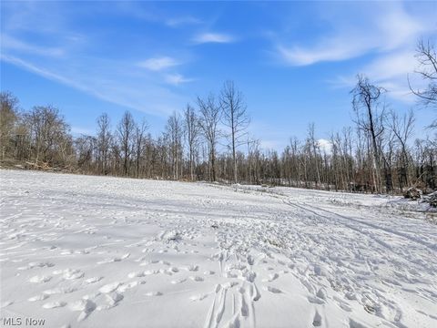 Tiny photo for 8100 Oh-78, Caldwell, OH 43724 (MLS # 5187493)