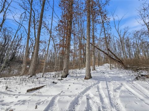 Tiny photo for 8100 Oh-78, Caldwell, OH 43724 (MLS # 5187493)