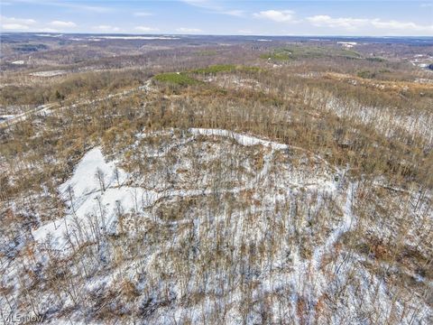 Tiny photo for 8100 Oh-78, Caldwell, OH 43724 (MLS # 5187493)