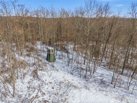 Tiny photo for 8100 Oh-78, Caldwell, OH 43724 (MLS # 5187493)