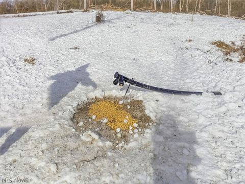 Tiny photo for 8100 Oh-78, Caldwell, OH 43724 (MLS # 5187493)