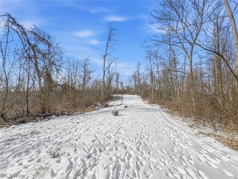 Tiny photo for 8100 Oh-78, Caldwell, OH 43724 (MLS # 5187493)