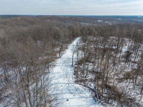 Tiny photo for 8100 Oh-78, Caldwell, OH 43724 (MLS # 5187493)