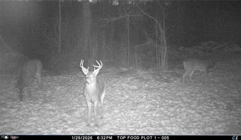 Tiny photo for 8100 Oh-78, Caldwell, OH 43724 (MLS # 5187493)