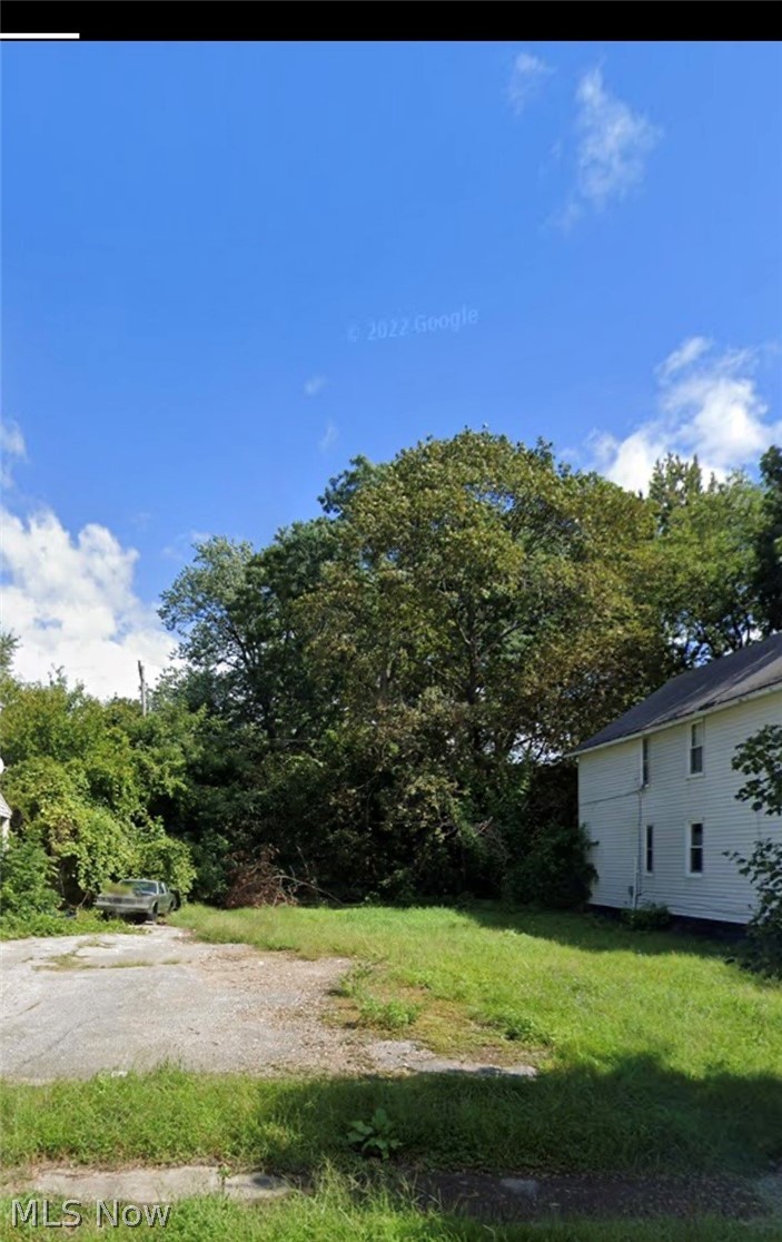 Catherine Dolman & Others Allo - Land