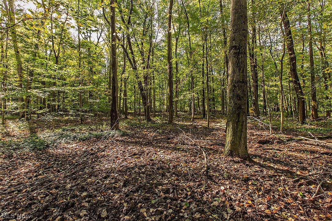 Bond Hill Estates Sub - Residential