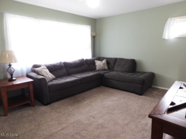 521 Holly Drive