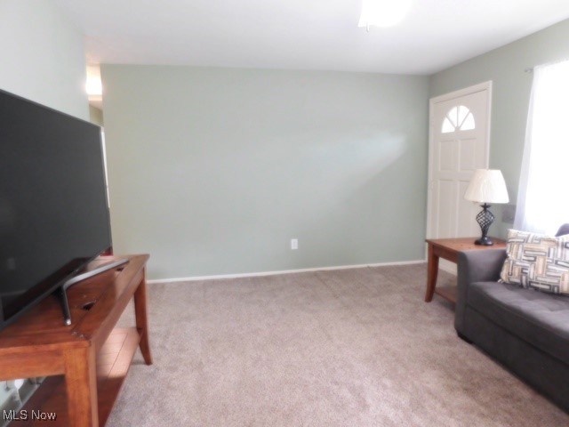 521 Holly Drive