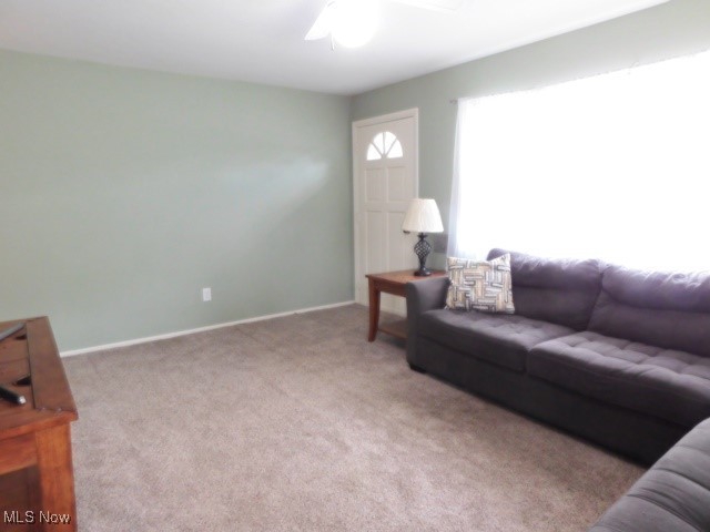 521 Holly Drive