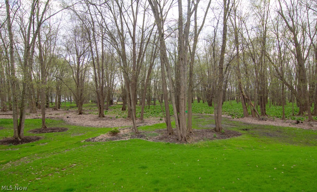 Woods Williamsburg - Residential