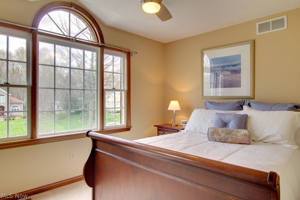 Woods Williamsburg - Residential