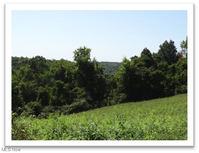 9125 Highland Ridge Road, Macksburg, Ohio image 30