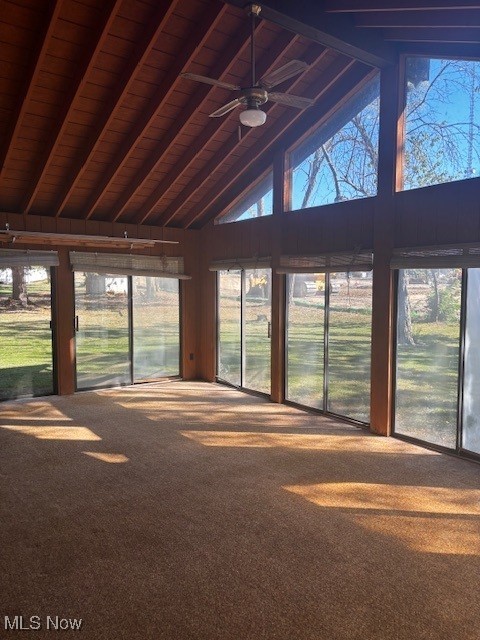 Sassafras Hills 03 - Residential