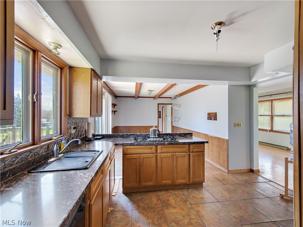 Aborth Allotment - Residential