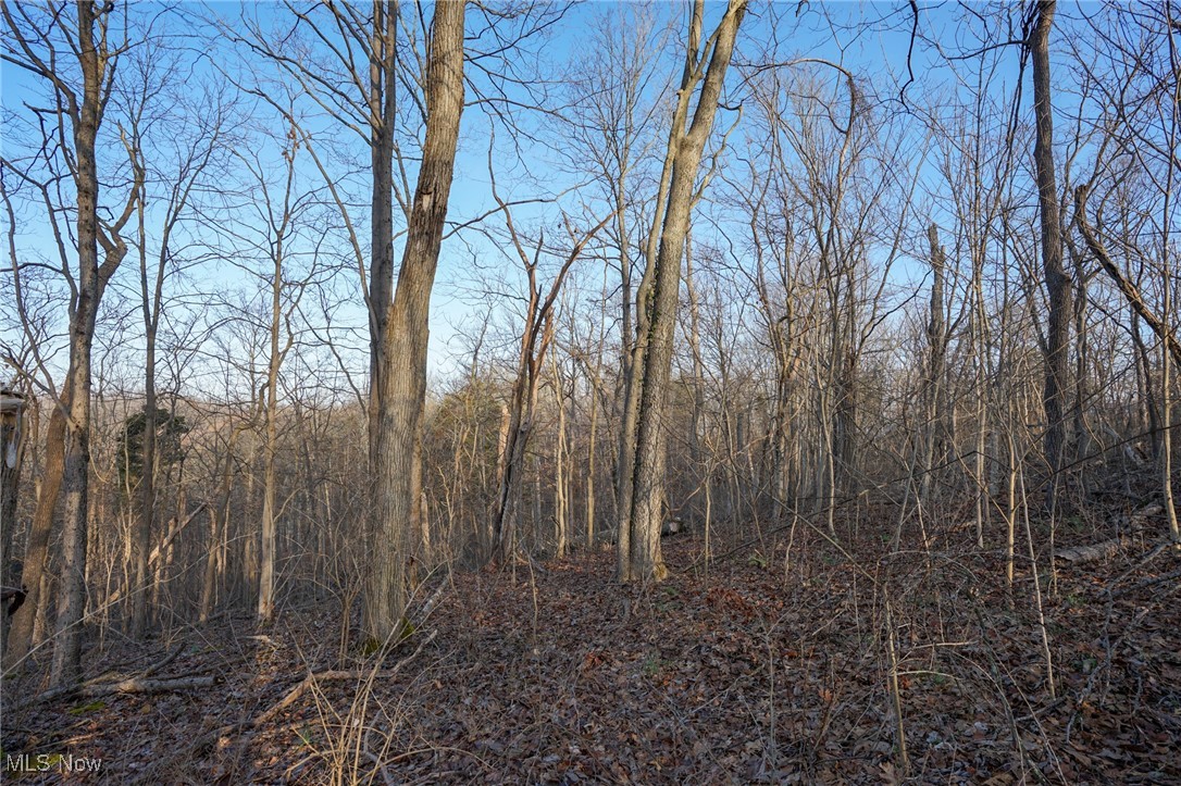 640 Arion Dr, Manchester, Ohio image 6