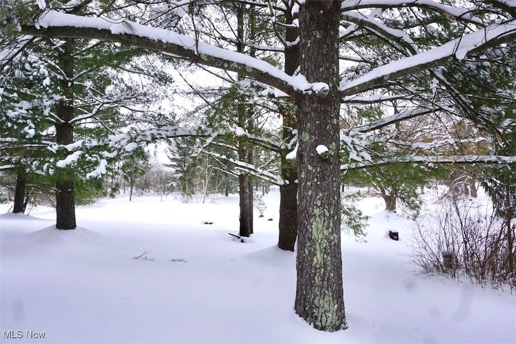 Photo of 14543 Ensign Road, Burton, OH 44021 (MLS # 5179205)