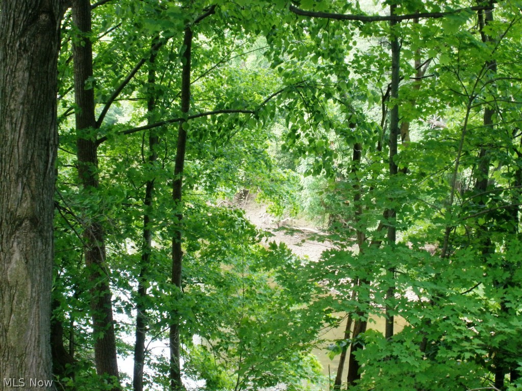 Carlisle Sec 06 - Residential