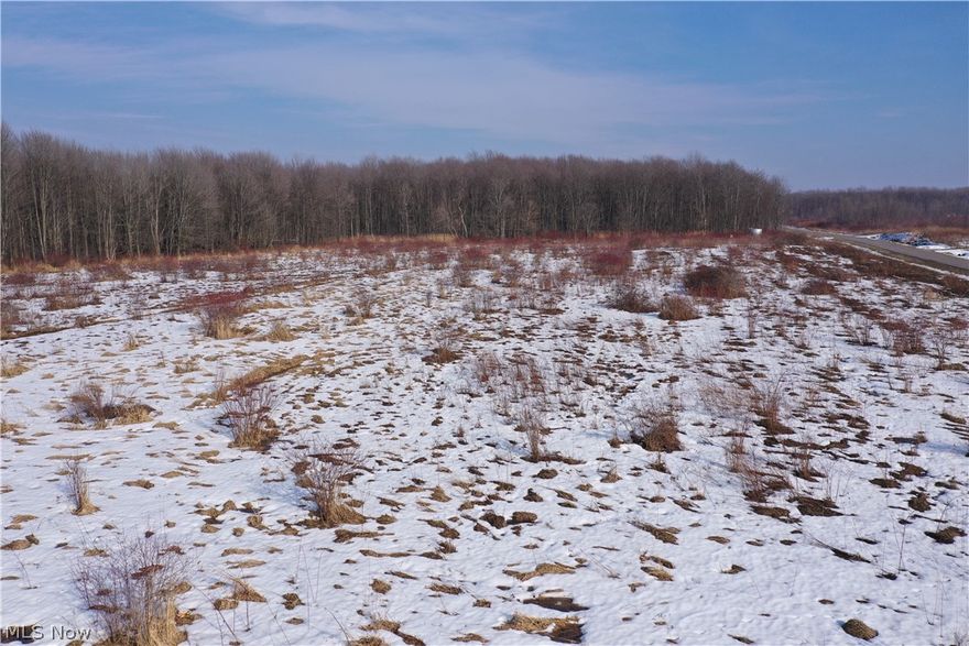 This 12.19 +/- acre property is situated in Monroe Township, located in the Northeast portion of Ashtabula County. The parcel consists primarily of open ground with a smaller portion of wooded acreage, offering a mix of old field habitat and tree cover. Described as mostly open, this tract may be suitable for hay production, row crops, pasture, or other agricultural uses with a little bit of “elbow grease” from a new owner. The open acreage also provides space for food plots or other habitat improvements for those interested in affordable hunting and outdoor recreation. The wooded portion offers natural cover that can support local wildlife and provides privacy along portions of the property boundary.

Located just off Ohio Route 7, this property offers convenient access to a well-traveled state route while maintaining a rural setting. This corner lot provides multiple access points and over 1,600 feet of combined frontage on two roads. Located approximately four miles north of Pierpont, the property benefits from proximity to a small rural community while still being within short driving distance of I-90 and larger towns throughout Ashtabula County. The surrounding area is characterized by a mix of farmland, wooded tracts, and rural residences. This setting may appeal to buyers seeking acreage in a quieter part of northeast Ohio with easy access to public hunting and fishing around Pymatuning Lake and the Walleye capital of the world, Lake Erie.
This property presents an opportunity to acquire 12.19 acres in a rural township setting with a combination of open ground and woods. Whatever you're searching for, this layout and diversity provide flexibility for a variety of potential uses, including agricultural activities, recreational use, or even a future homesite. Call today to learn more about this listing today or to schedule a time to see it for yourself.