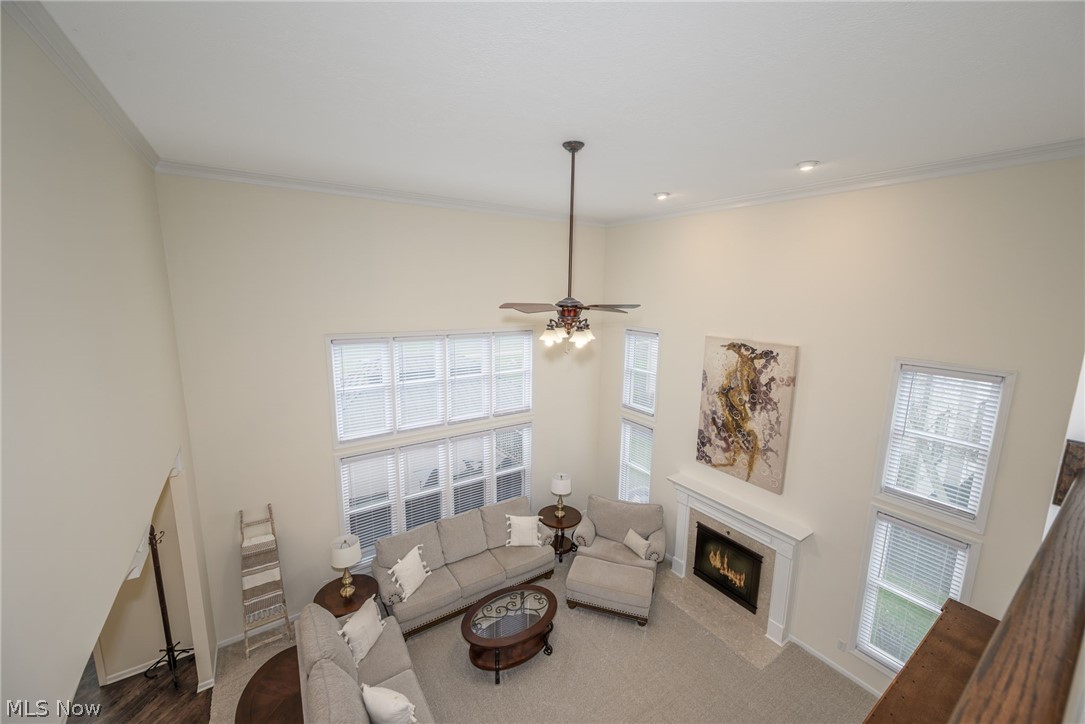 Pambi Farms Estate Ph II - Residential