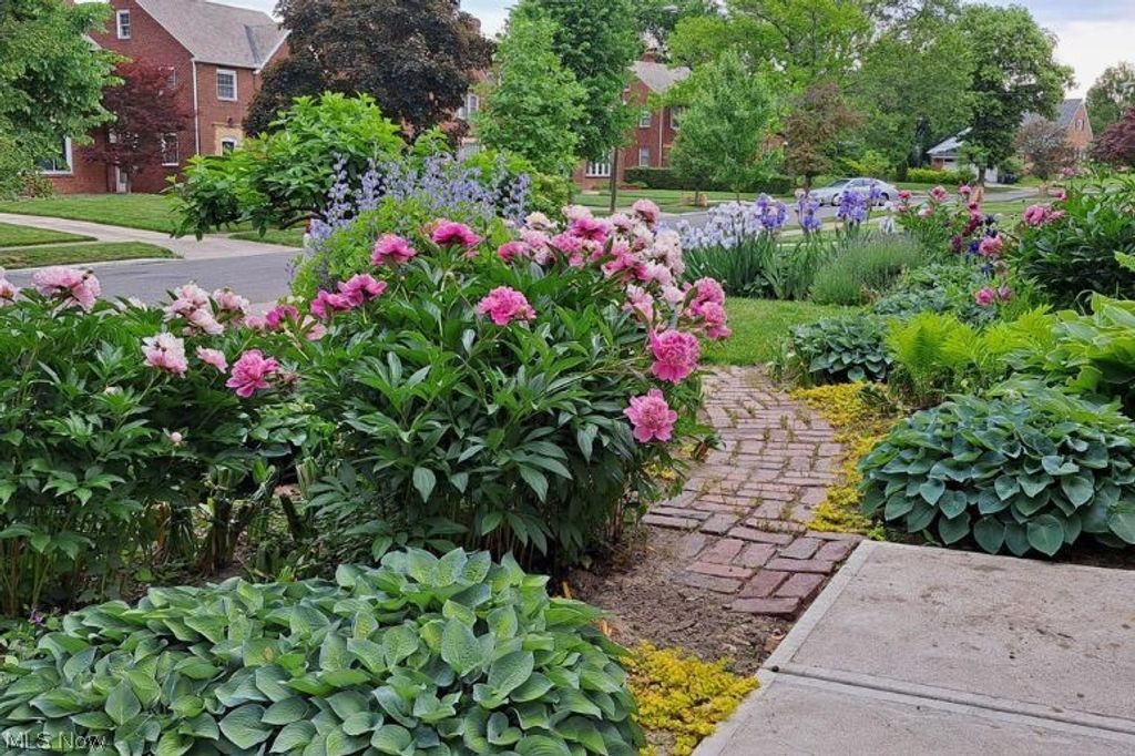 Photo of 3814 Bushnell Road, University Heights, OH 44118 (MLS # 5195257)