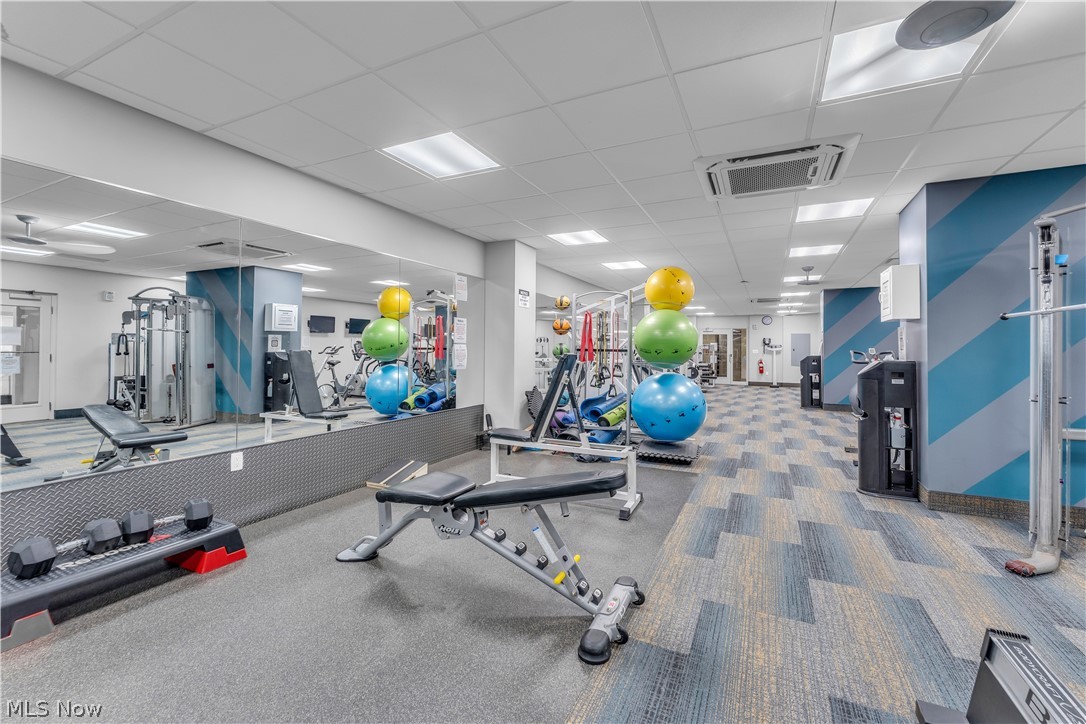 Carlyle Condo - Residential