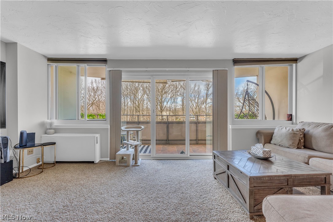 Carlyle Condo - Residential