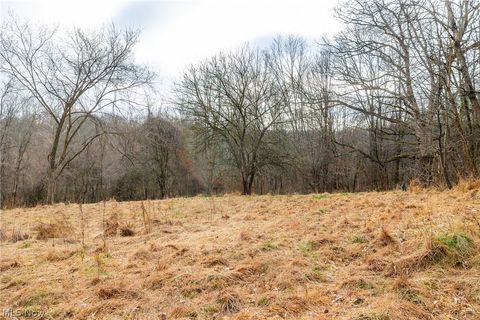 Vacant Land For Sale - 10445 Shannon Road<br/> Frazeysburg, OH 43822