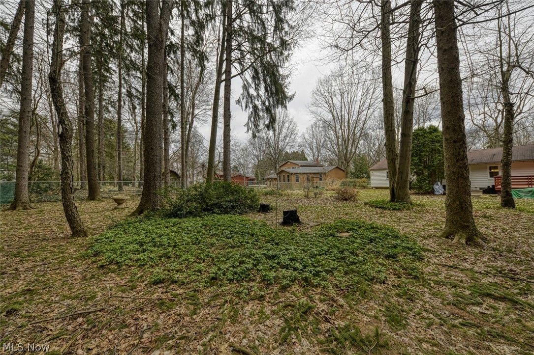 Back View Estate #2 - Residential