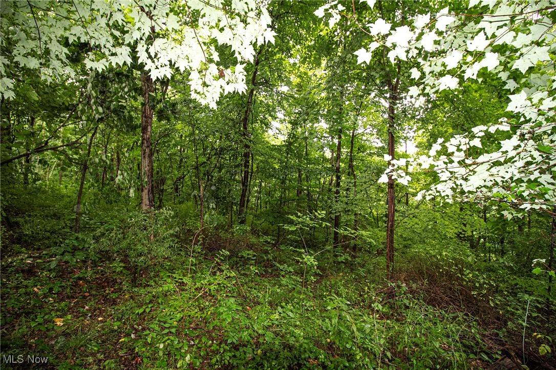 Lot 3 Meadowood Trail, Cadiz, Ohio image 6