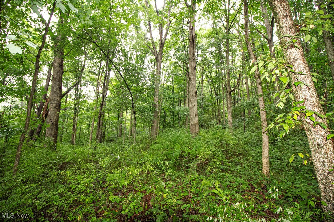 Lot 3 Meadowood Trail, Cadiz, Ohio image 3