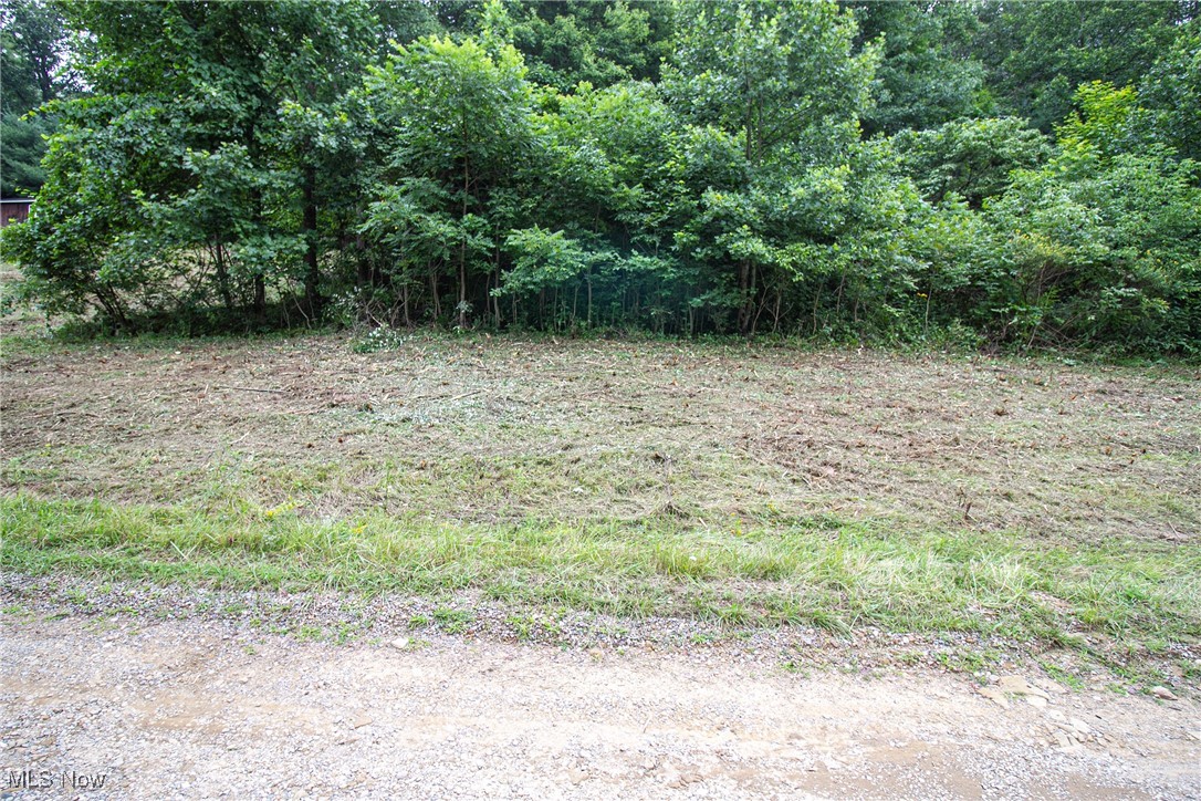 Lot 3 Meadowood Trail, Cadiz, Ohio image 1