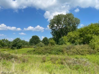 Southwest Quarter - Land