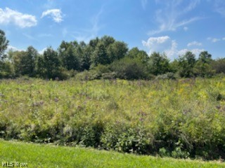 12.88 acres on Johnson Ave in Alliance Ohio. Zoned R-2 Multifamily. Can be used for the following purposes: Single-family dwellings including conventional site-built homes and factory-built modular homes. Condominiums. Duplexes, triplexes, and multiple-family structures (apartments) Townhouses, condominium clusters. Frontage on Klinger and Johnson. All utilities available. gas well produces a few hundred dollars per year for owner. Mineral rights transfer. For GPS navigation, the nearest postal address is 1201 Klinger Ave Alliance, OH 44601, to identify exactly where the property is located.