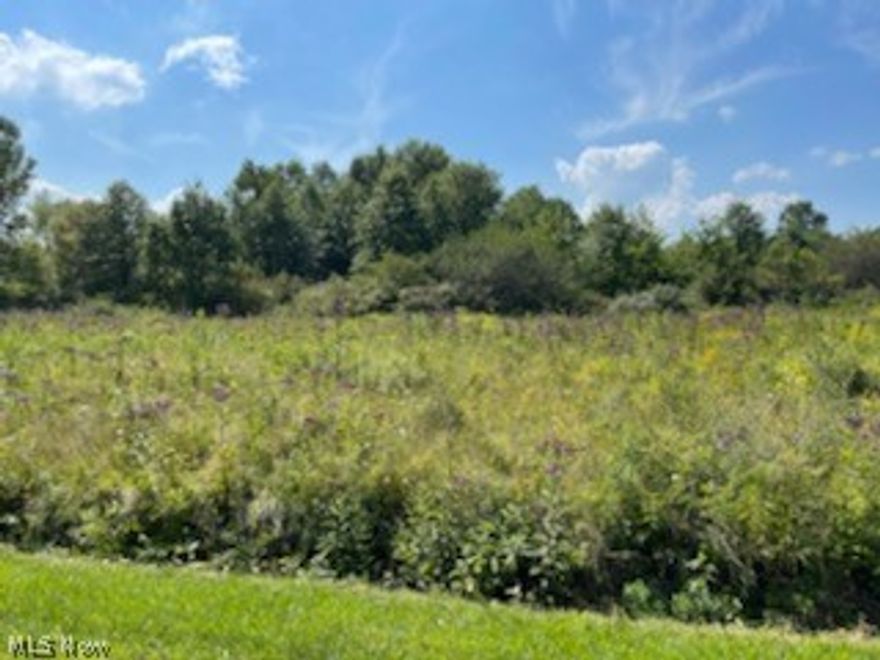 12.88 acres on Johnson Ave in Alliance Ohio. Zoned R-2 Multifamily. Can be used for the following purposes: Single-family dwellings including conventional site-built homes and factory-built modular homes. Condominiums. Duplexes, triplexes, and multiple-family structures (apartments) Townhouses, condominium clusters. Frontage on Klinger and Johnson. All utilities available. gas well produces a few hundred dollars per year for owner. Mineral rights transfer. For GPS navigation, the nearest postal address is 1201 Klinger Ave Alliance, OH 44601, to identify exactly where the property is located.