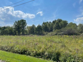 Southwest Quarter - Land